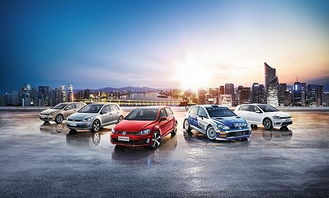 一站式互聯(lián)網(wǎng)汽車服務連鎖品牌 御車無憂